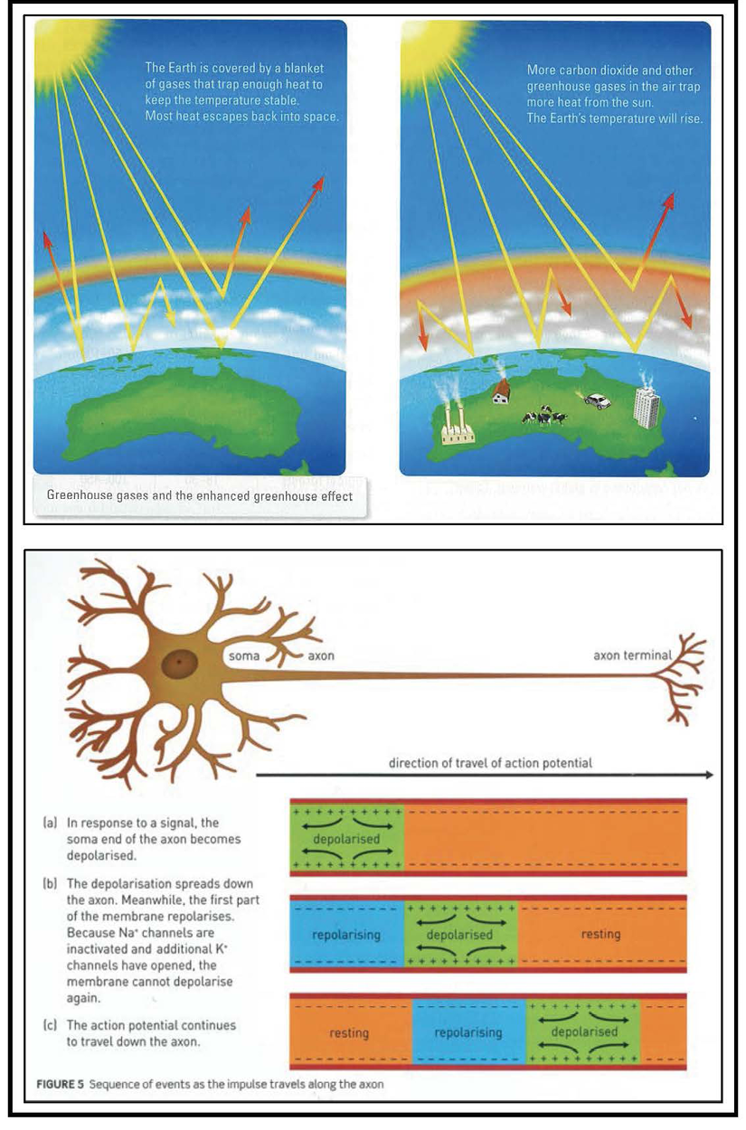 High School Science Infographics: Multimodal Meaning Complexes in ...